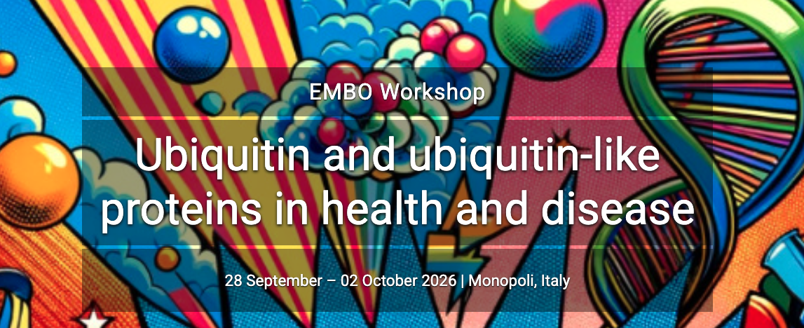 Screenshot 2026-03-31 at 14.54.41.png