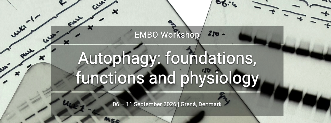 Screenshot 2026-03-05 at 16.22.05.png